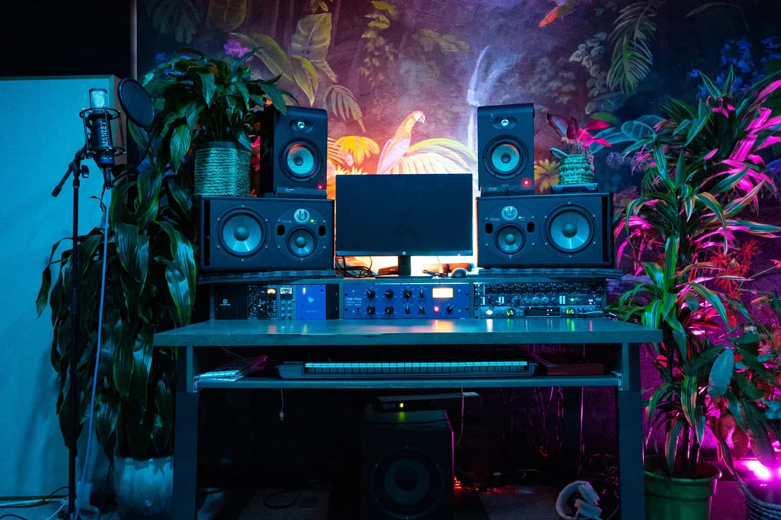 Plant-filled Rainforest Room at Paradise Recording